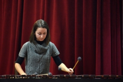 Percussion Skoplje i Nis_resize (41)