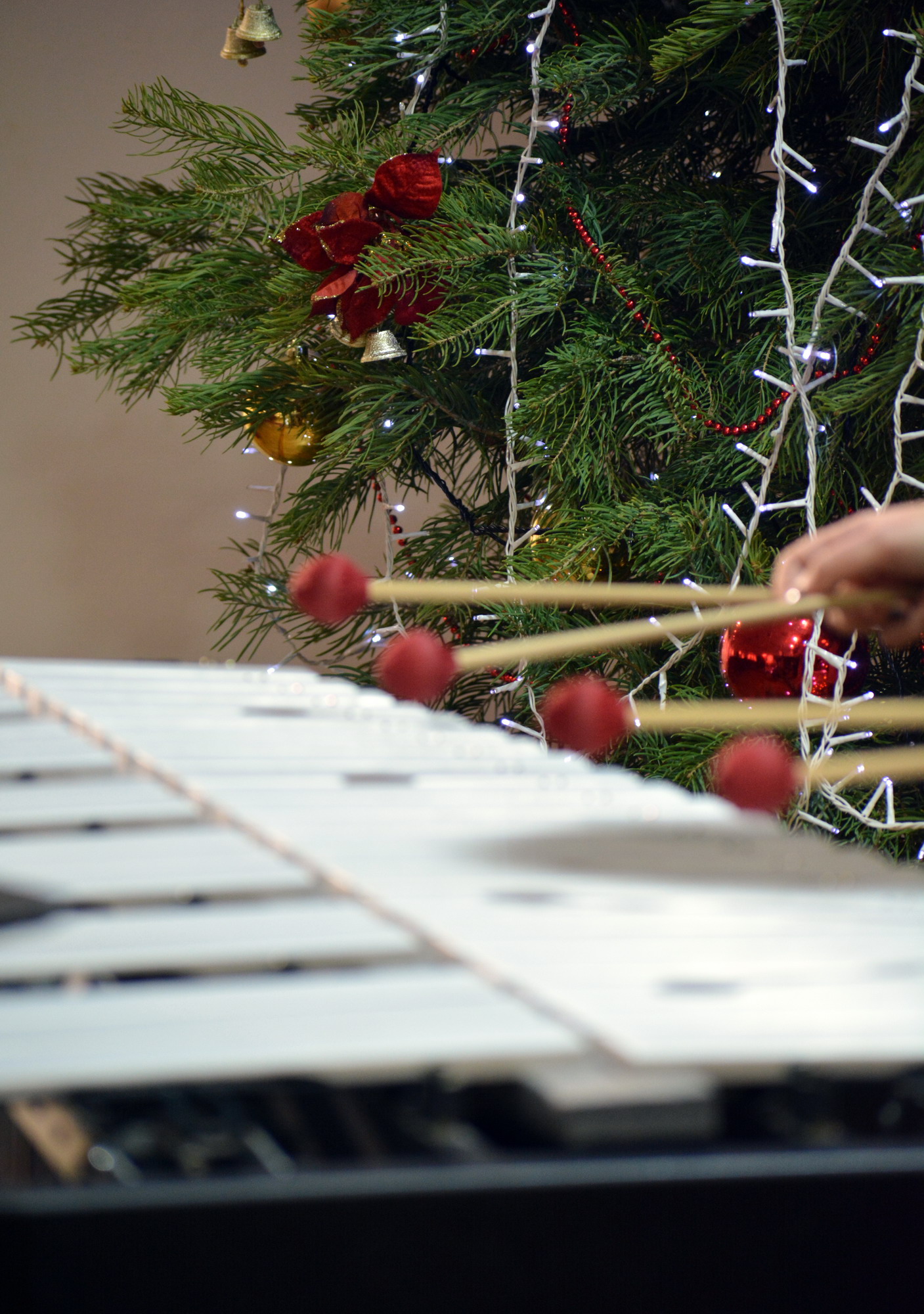 Percussion Skoplje i Nis_resize (3)