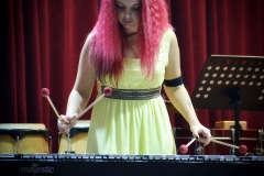 Percussion Skoplje i Nis_resize (48)