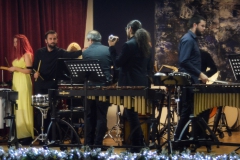 Percussion Skoplje i Nis_resize (58)